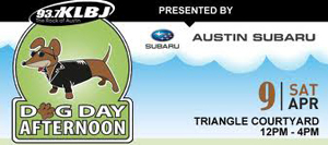 web ad